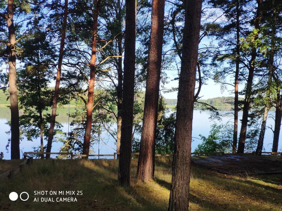 Sloneczny Domek Borsk Nr 2 I 15 - Nad Samym Jeziorem W Pierwszej Linii Exteriér fotografie
